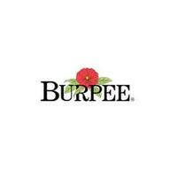 Burpee Logo
