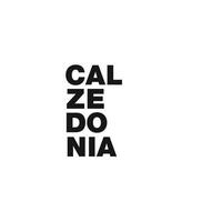 Calzedonia US Logo