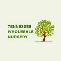 TN Nursery Logo